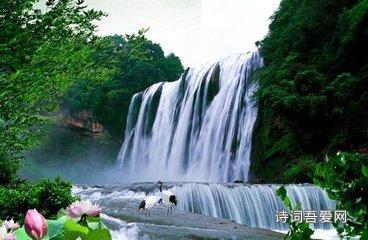 动物帮帮忙保卫家园