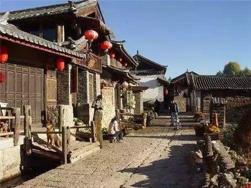 忍者鲨鱼