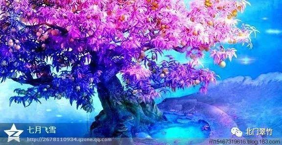 全民剧本大师内置菜单